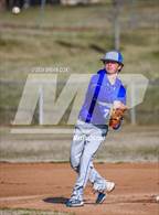 Photo from the gallery "Cotter @ Jasper"