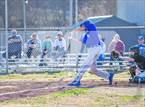 Photo from the gallery "Cotter @ Jasper"