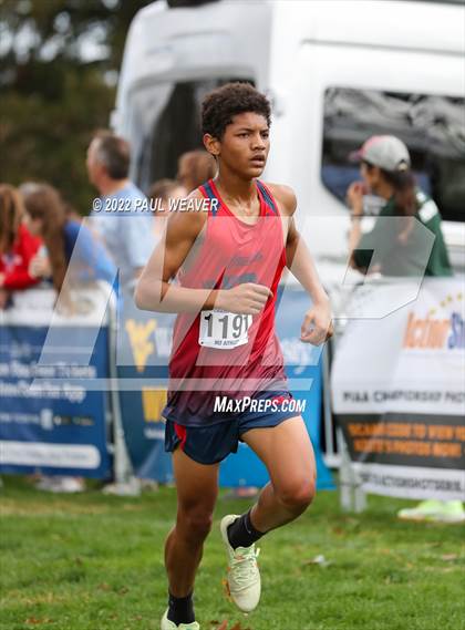 Thumbnail 1 in PIAA Class AA Championship photogallery.