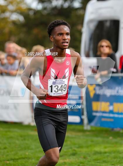 Thumbnail 1 in PIAA Class AA Championship photogallery.