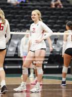 Photo from the gallery "Mountain Ridge vs. Mountain View"