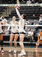 Photo from the gallery "Mountain Ridge vs. Mountain View"