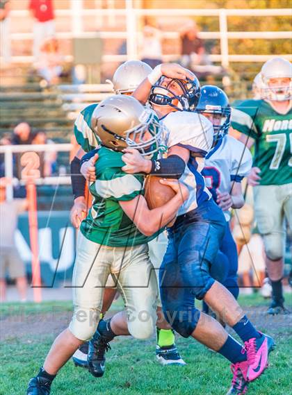 Thumbnail 1 in American @ Moreau Catholic  photogallery.