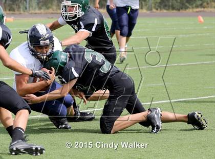 Thumbnail 3 in Skyline @ Conifer photogallery.