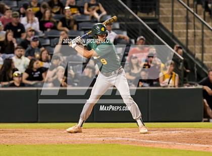 Thumbnail 1 in Saguaro vs. Canyon del Oro (AIA 4A Final)  photogallery.