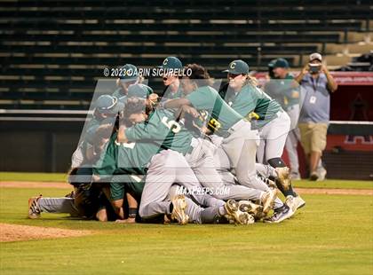 Thumbnail 3 in Saguaro vs. Canyon del Oro (AIA 4A Final)  photogallery.