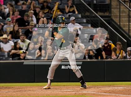 Thumbnail 1 in Saguaro vs. Canyon del Oro (AIA 4A Final)  photogallery.