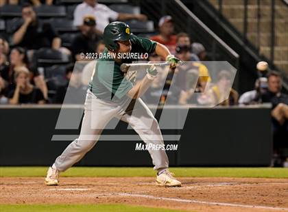 Thumbnail 3 in Saguaro vs. Canyon del Oro (AIA 4A Final)  photogallery.