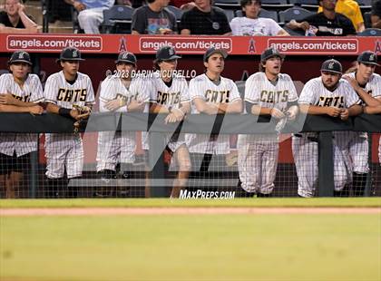 Thumbnail 3 in Saguaro vs. Canyon del Oro (AIA 4A Final)  photogallery.