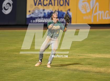 Thumbnail 1 in Saguaro vs. Canyon del Oro (AIA 4A Final)  photogallery.