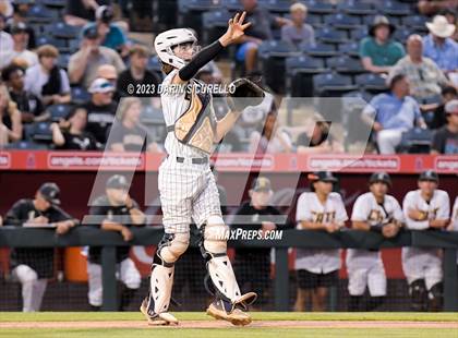 Thumbnail 2 in Saguaro vs. Canyon del Oro (AIA 4A Final)  photogallery.