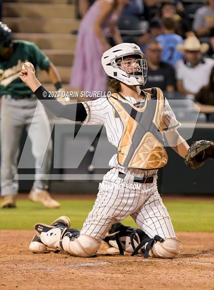 Thumbnail 1 in Saguaro vs. Canyon del Oro (AIA 4A Final)  photogallery.