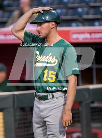 Thumbnail 3 in Saguaro vs. Canyon del Oro (AIA 4A Final)  photogallery.