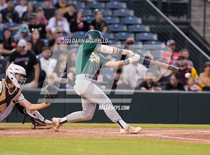 Thumbnail 2 in Saguaro vs. Canyon del Oro (AIA 4A Final)  photogallery.