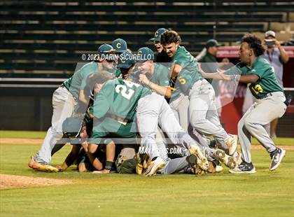 Thumbnail 3 in Saguaro vs. Canyon del Oro (AIA 4A Final)  photogallery.