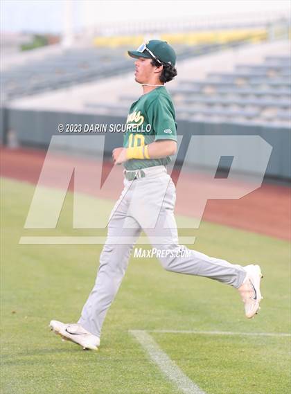 Thumbnail 1 in Saguaro vs. Canyon del Oro (AIA 4A Final)  photogallery.