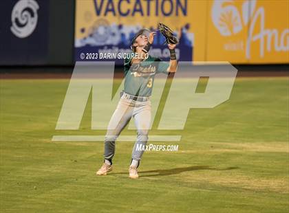 Thumbnail 2 in Saguaro vs. Canyon del Oro (AIA 4A Final)  photogallery.