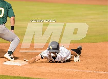 Thumbnail 3 in Saguaro vs. Canyon del Oro (AIA 4A Final)  photogallery.