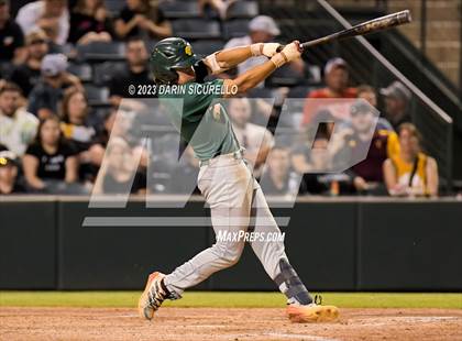 Thumbnail 2 in Saguaro vs. Canyon del Oro (AIA 4A Final)  photogallery.