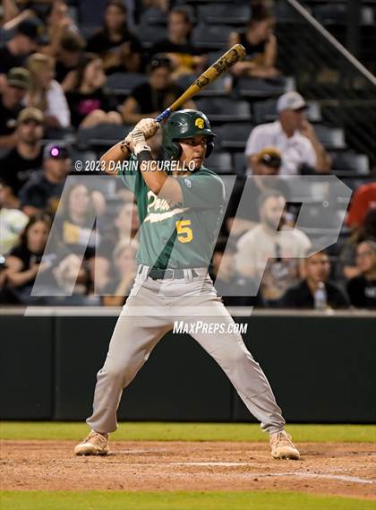 Thumbnail 2 in Saguaro vs. Canyon del Oro (AIA 4A Final)  photogallery.