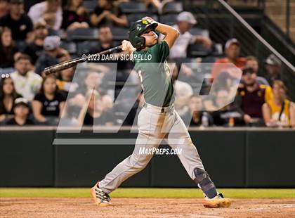 Thumbnail 3 in Saguaro vs. Canyon del Oro (AIA 4A Final)  photogallery.