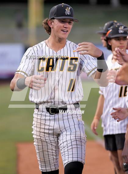 Thumbnail 1 in Saguaro vs. Canyon del Oro (AIA 4A Final)  photogallery.
