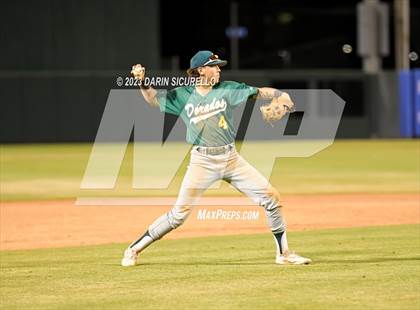 Thumbnail 1 in Saguaro vs. Canyon del Oro (AIA 4A Final)  photogallery.