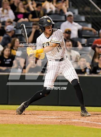 Thumbnail 1 in Saguaro vs. Canyon del Oro (AIA 4A Final)  photogallery.