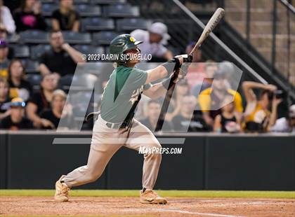 Thumbnail 3 in Saguaro vs. Canyon del Oro (AIA 4A Final)  photogallery.