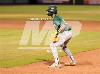 Thumbnail 1 in Saguaro vs. Canyon del Oro (AIA 4A Final)  photogallery.