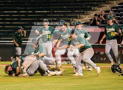 Thumbnail 3 in Saguaro vs. Canyon del Oro (AIA 4A Final)  photogallery.