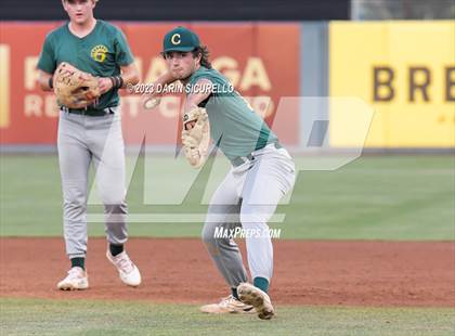 Thumbnail 2 in Saguaro vs. Canyon del Oro (AIA 4A Final)  photogallery.
