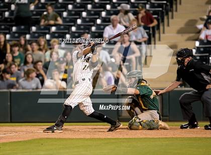 Thumbnail 1 in Saguaro vs. Canyon del Oro (AIA 4A Final)  photogallery.