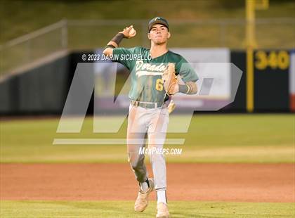 Thumbnail 1 in Saguaro vs. Canyon del Oro (AIA 4A Final)  photogallery.