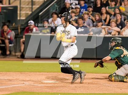 Thumbnail 3 in Saguaro vs. Canyon del Oro (AIA 4A Final)  photogallery.
