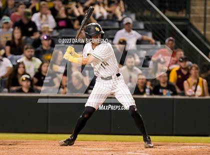 Thumbnail 1 in Saguaro vs. Canyon del Oro (AIA 4A Final)  photogallery.