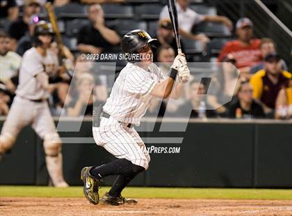 Thumbnail 3 in Saguaro vs. Canyon del Oro (AIA 4A Final)  photogallery.