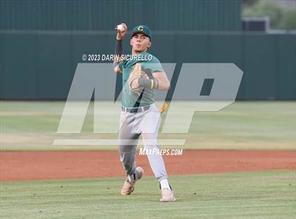 Thumbnail 1 in Saguaro vs. Canyon del Oro (AIA 4A Final)  photogallery.