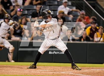 Thumbnail 1 in Saguaro vs. Canyon del Oro (AIA 4A Final)  photogallery.