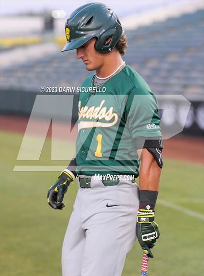 Thumbnail 1 in Saguaro vs. Canyon del Oro (AIA 4A Final)  photogallery.