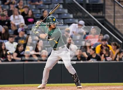 Thumbnail 2 in Saguaro vs. Canyon del Oro (AIA 4A Final)  photogallery.