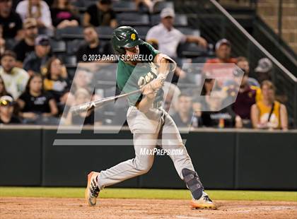 Thumbnail 3 in Saguaro vs. Canyon del Oro (AIA 4A Final)  photogallery.
