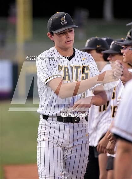 Thumbnail 1 in Saguaro vs. Canyon del Oro (AIA 4A Final)  photogallery.