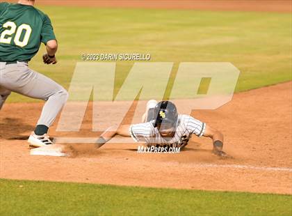 Thumbnail 1 in Saguaro vs. Canyon del Oro (AIA 4A Final)  photogallery.