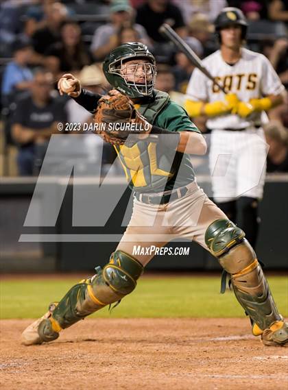 Thumbnail 1 in Saguaro vs. Canyon del Oro (AIA 4A Final)  photogallery.