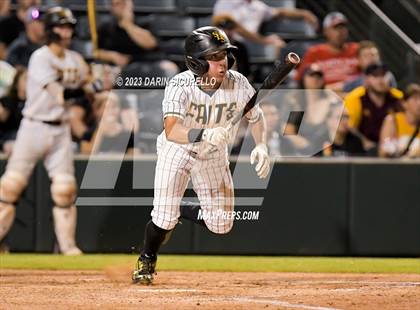 Thumbnail 2 in Saguaro vs. Canyon del Oro (AIA 4A Final)  photogallery.