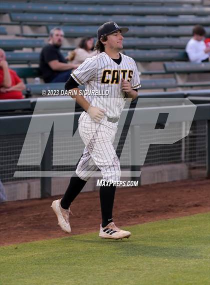 Thumbnail 1 in Saguaro vs. Canyon del Oro (AIA 4A Final)  photogallery.
