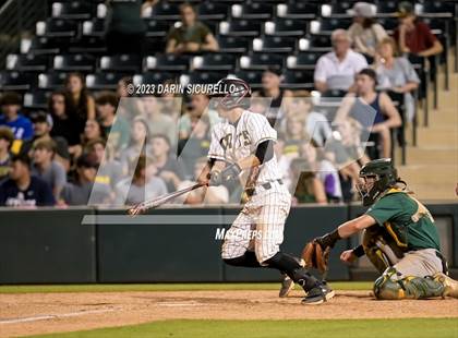 Thumbnail 1 in Saguaro vs. Canyon del Oro (AIA 4A Final)  photogallery.