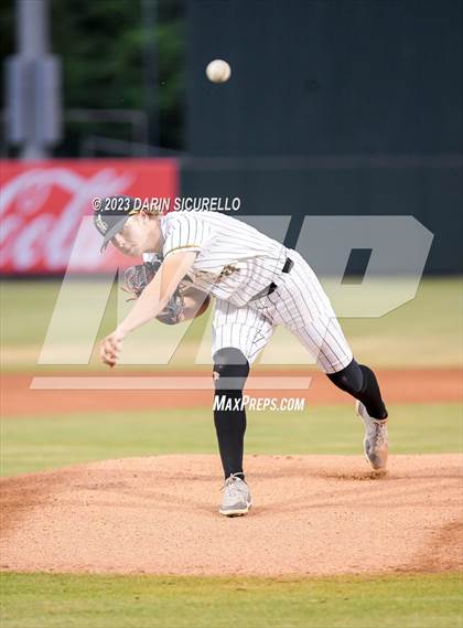 Thumbnail 1 in Saguaro vs. Canyon del Oro (AIA 4A Final)  photogallery.