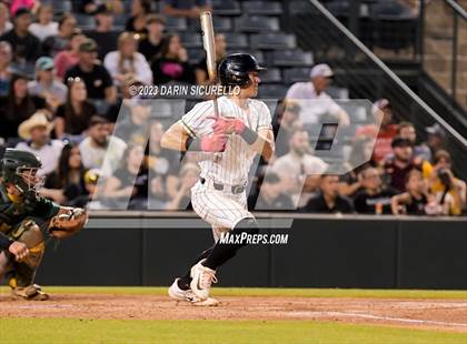 Thumbnail 1 in Saguaro vs. Canyon del Oro (AIA 4A Final)  photogallery.